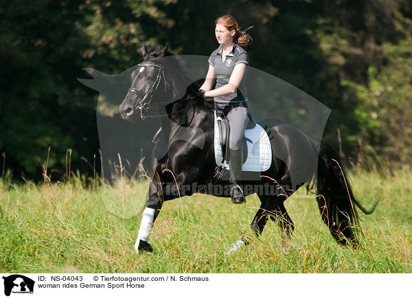 Frau reitet Deutsches Sportpferd / woman rides German Sport Horse / NS-04043