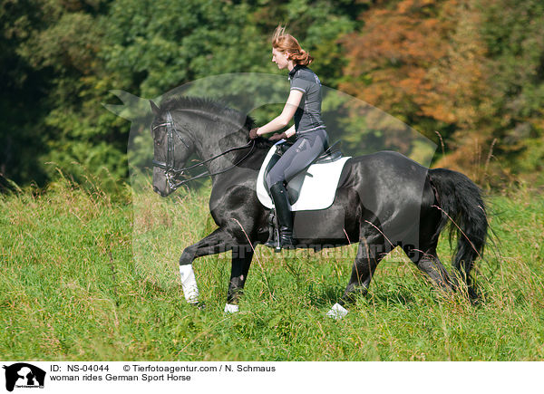 Frau reitet Deutsches Sportpferd / woman rides German Sport Horse / NS-04044