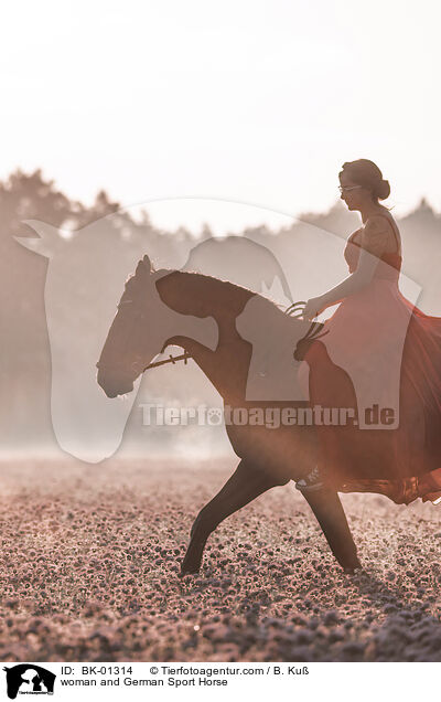 Frau und Deutsches Sportpferd / woman and German Sport Horse / BK-01314