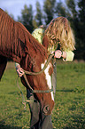 put on halter