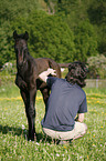 young man with foal