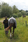 leading on grazing land