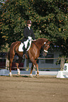 dressage