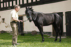 horse