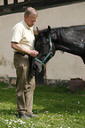 horse