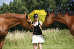 two horses
