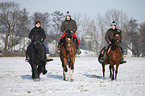 riders with horses
