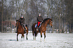 riders with horses