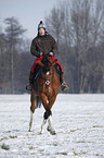 woman rides warmblood