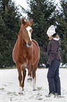 woman and warmblood