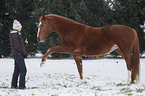 woman and warmblood