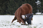 woman and warmblood
