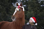woman and warmblood