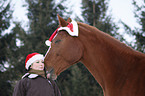 woman and warmblood