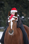 woman and warmblood