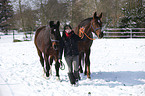 woman with horses