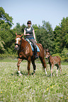 riding with foal
