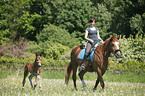 riding with foal