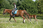 riding with foal