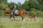 riding with foal