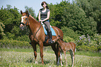riding with foal