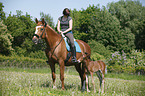 riding with foal