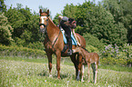 riding with foal