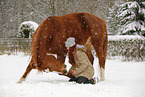 woman with german sport horse