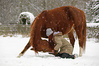 woman with german sport horse