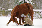 woman with german sport horse