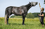 woman and German Sport Horse