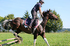 woman rides German Sport Horse