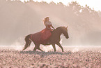 woman and German Sport Horse