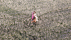 woman and German Sport Horse