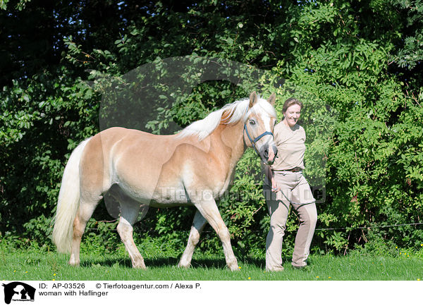 Frau mit Haflinger / woman with Haflinger / AP-03526