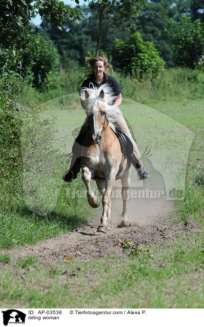 Freizeitreiten / riding woman / AP-03538
