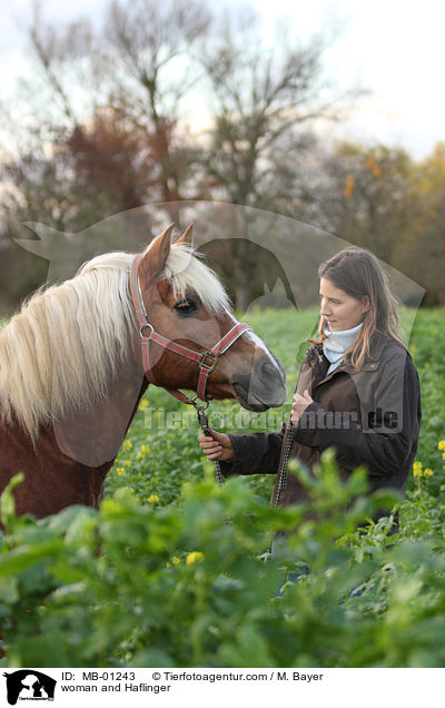 Frau und Haflinger / woman and Haflinger / MB-01243