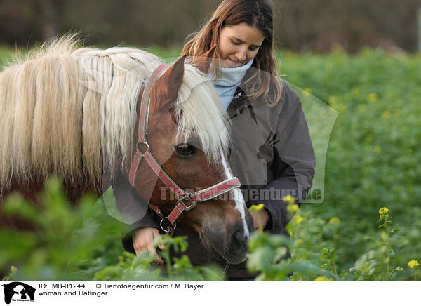 Frau und Haflinger / woman and Haflinger / MB-01244
