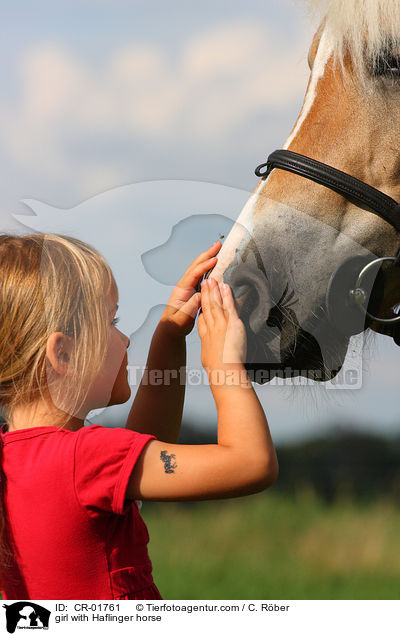 girl with Haflinger horse / CR-01761