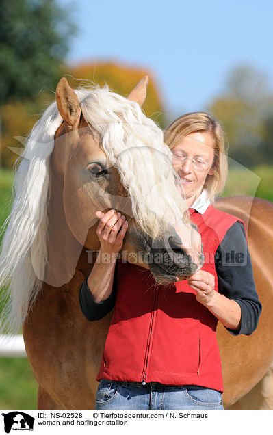 Frau und Haflinger Hengst / woman and haflinger stallion / NS-02528