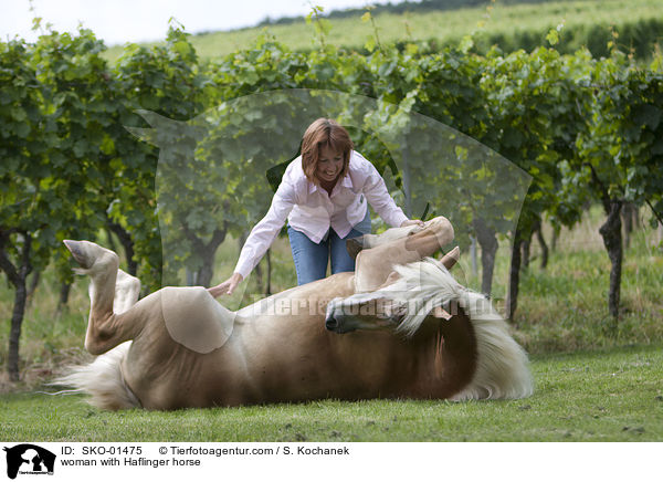woman with Haflinger horse / SKO-01475