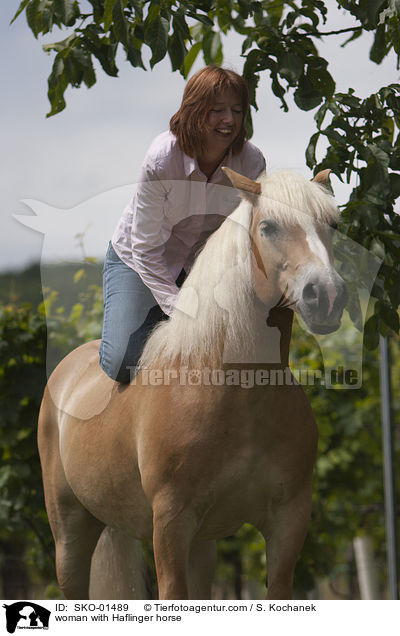 woman with Haflinger horse / SKO-01489