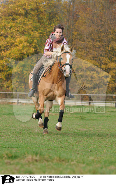 Frau reitet Haflinger / woman rides Haflinger horse / AP-07520