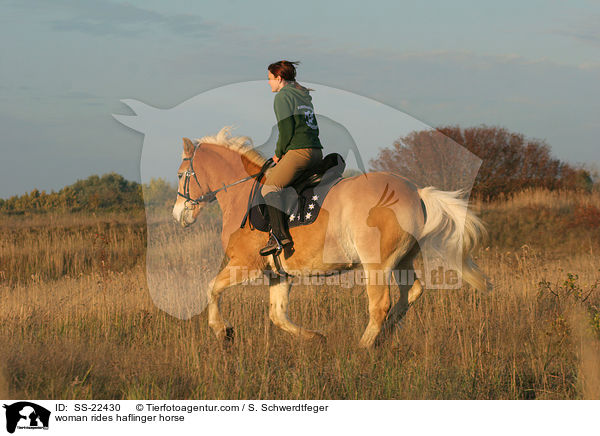 woman rides haflinger horse / SS-22430