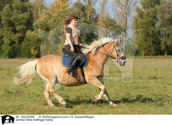 Frau reitet Haflinger / woman rides haflinger horse / SS-22482