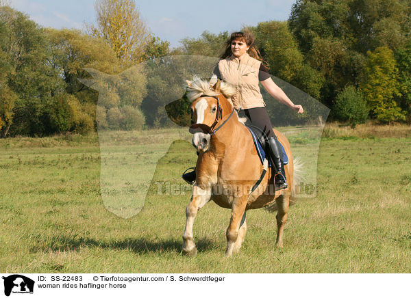 Frau reitet Haflinger / woman rides haflinger horse / SS-22483