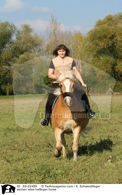 Frau reitet Haflinger / woman rides haflinger horse / SS-22489