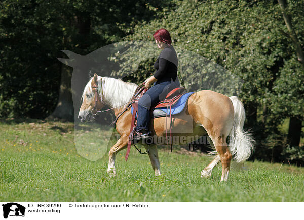 Westernreiterin / western riding / RR-39290