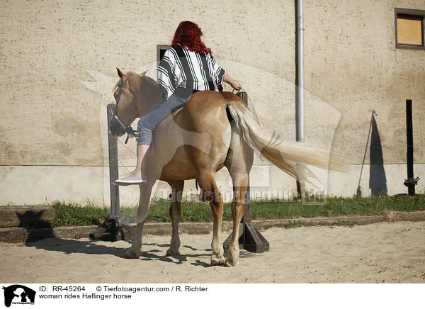 Frau reitet Haflinger / woman rides Haflinger horse / RR-45264