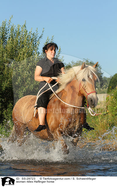 Frau reitet Haflinger / woman rides Haflinger horse / SS-28723